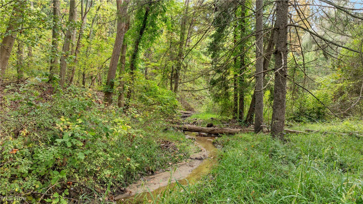 1356 E Turkeyfoot Lake Road, Akron, Ohio, 44312, United States, ,Land,For Sale,1356 E Turkeyfoot Lake Road,1668740