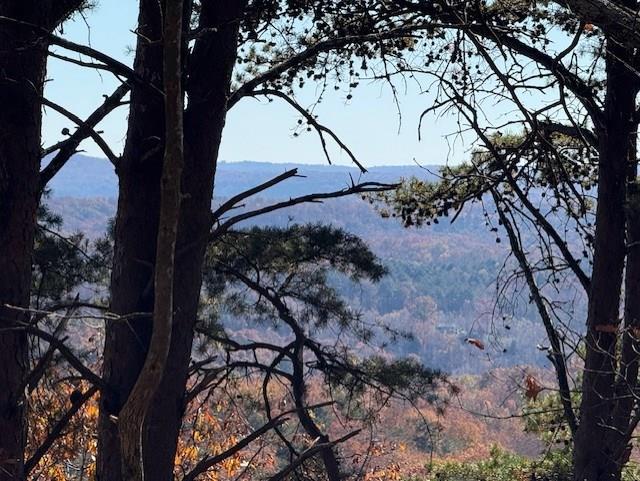 Talking Rock, Georgia, 30175, United States, ,Land,For Sale,1995157