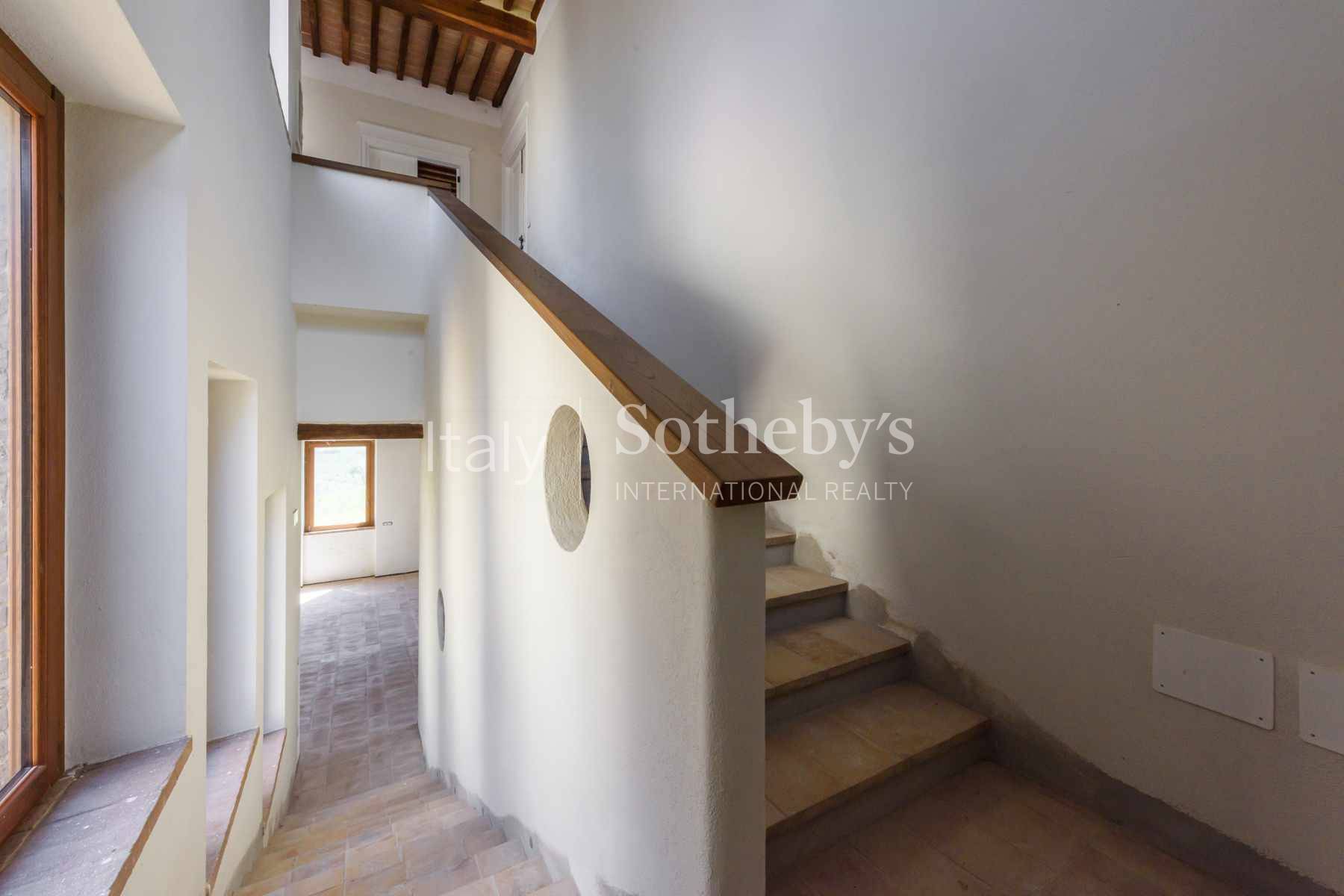  Fascinating property with vineyards and olive groves - 物件實景