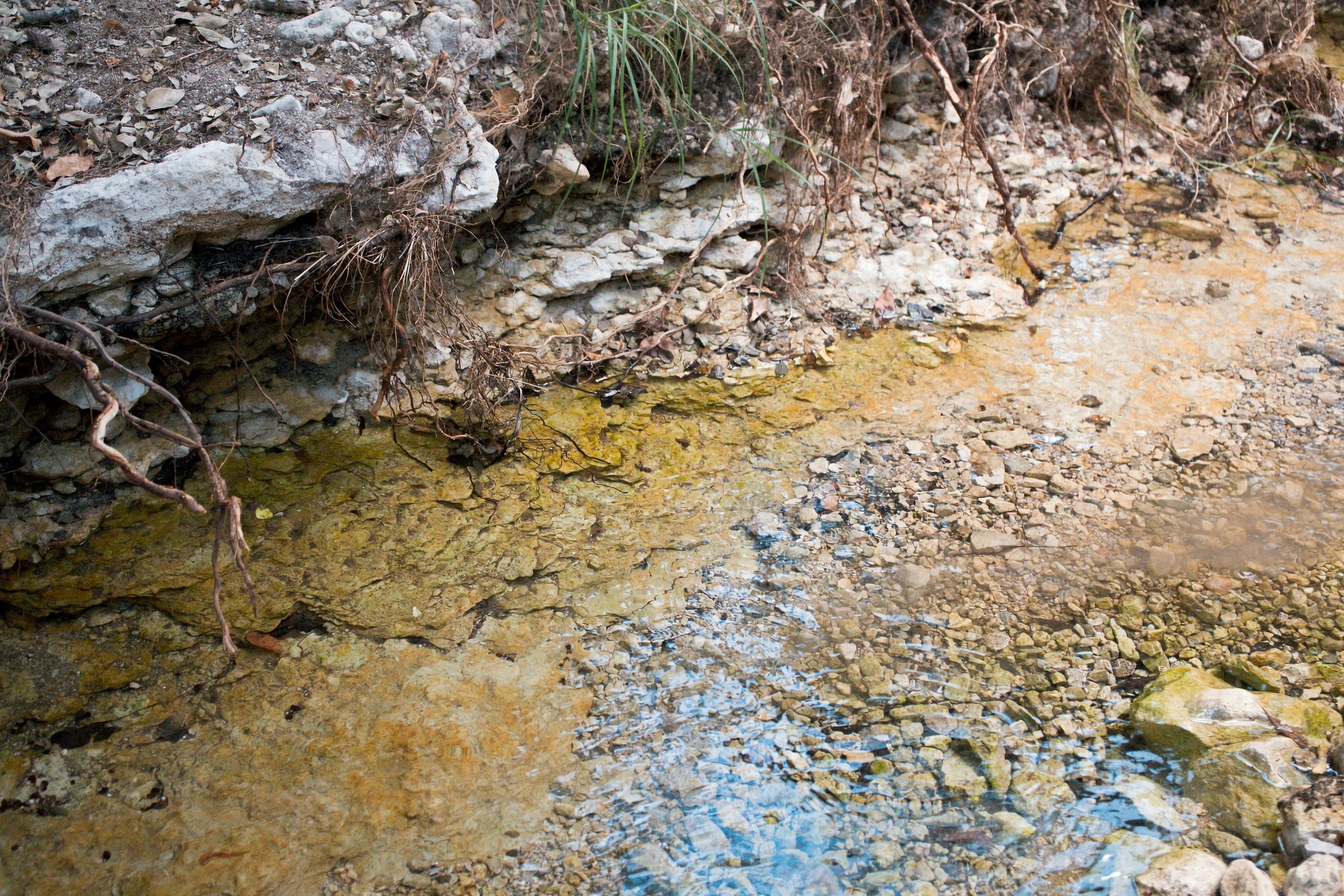 985+/- Acre 12 Springs Ranch - 物件實景