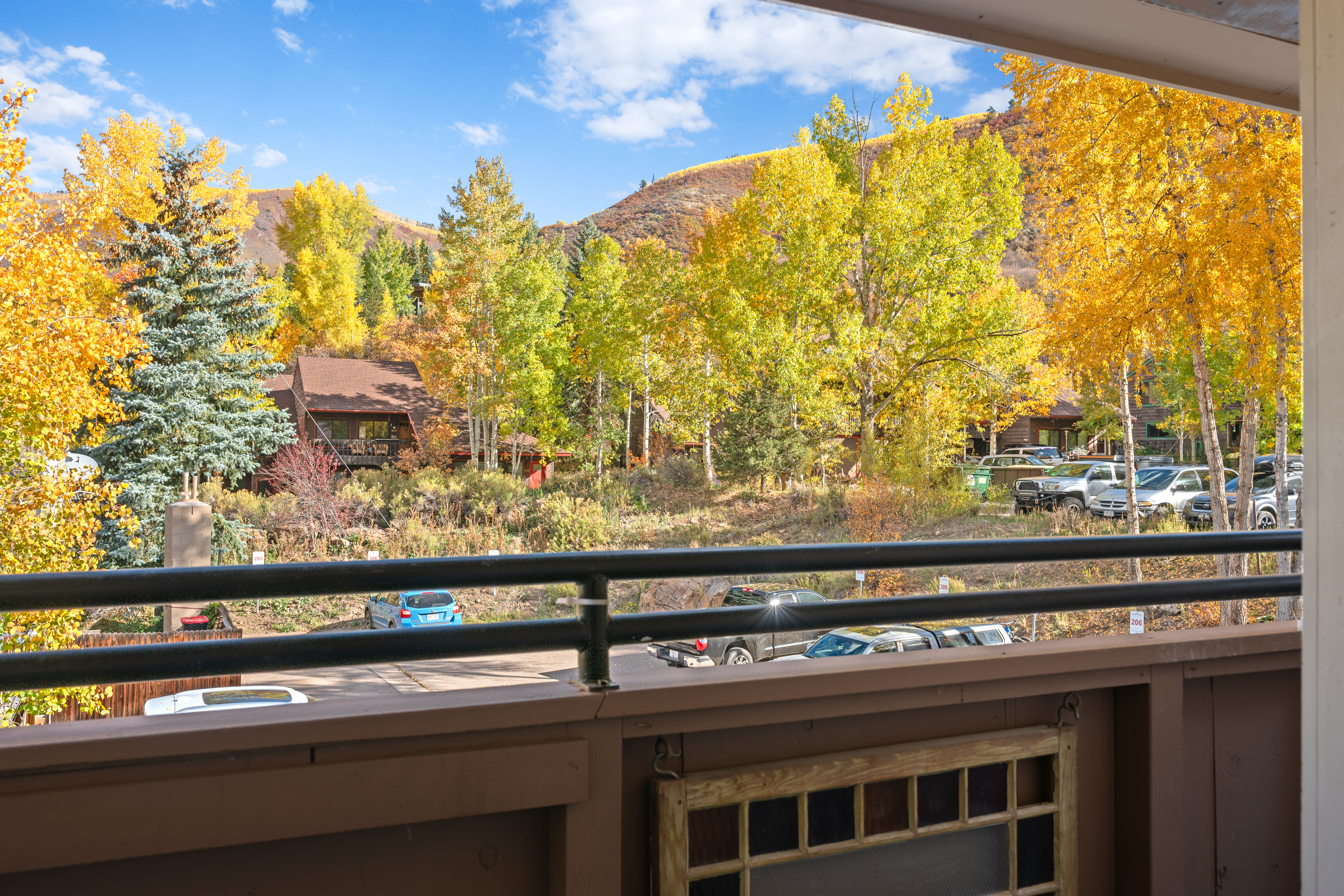  326 Midland Avenue 306, Aspen, CO, 81611 - 物件實景