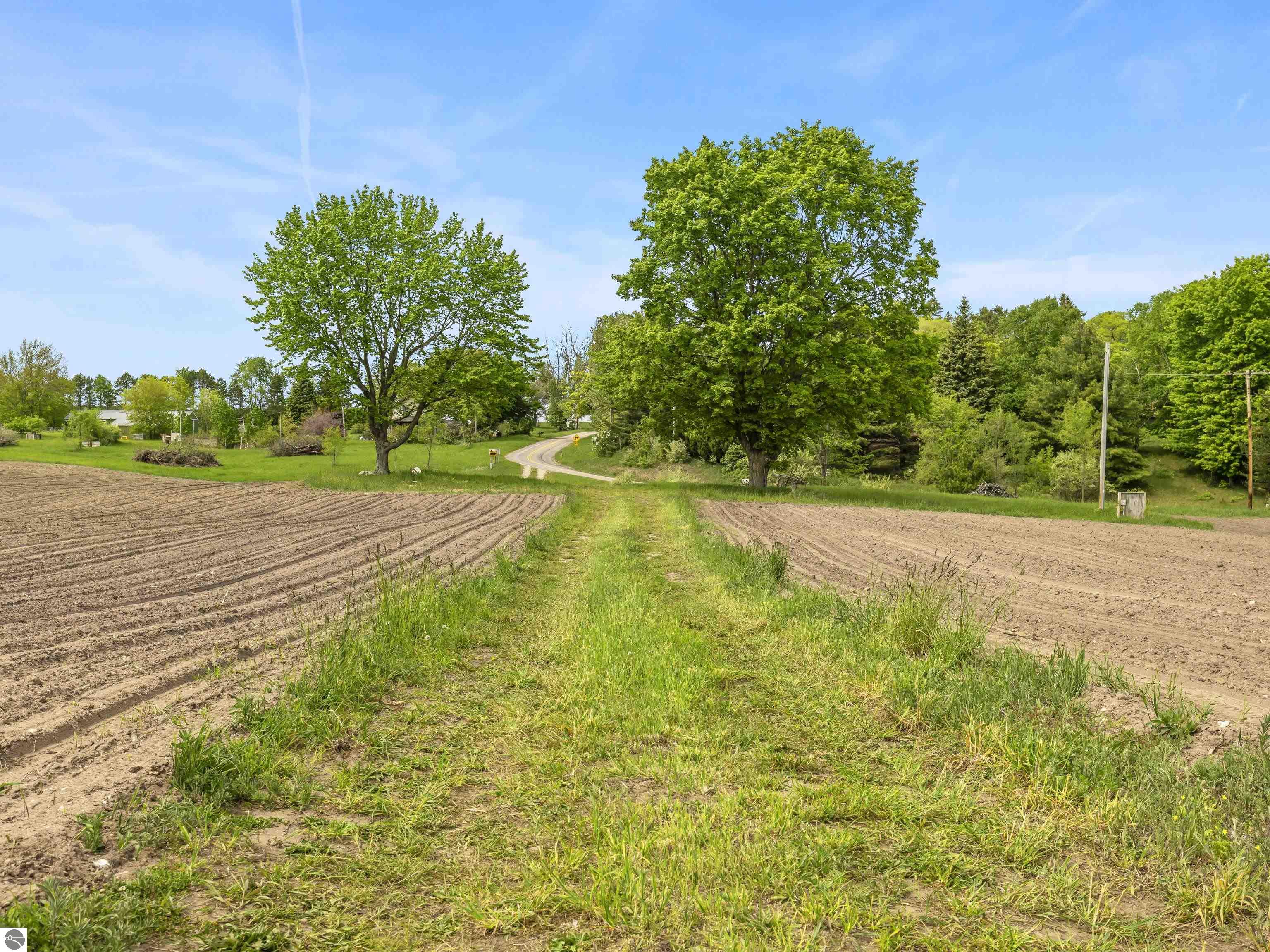 Beulah, Michigan, 49617, United States, ,Land,For Sale,1938552