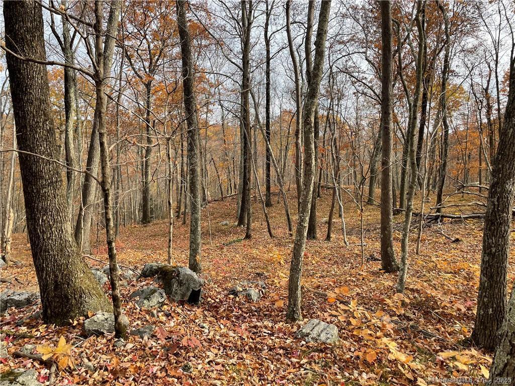 New Fairfield, Connecticut, 06812, United States, ,Residential,For Sale,1986113