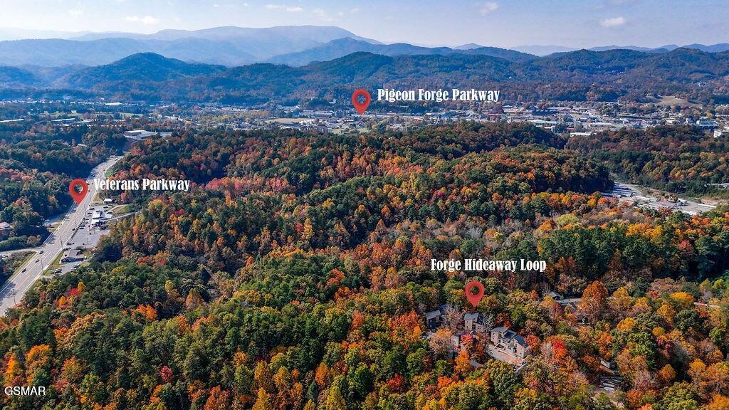 Pigeon Forge, Tennessee, 37863, United States, 2 Bedrooms Bedrooms, ,2 BathroomsBathrooms,Residential,For Sale,1872130
