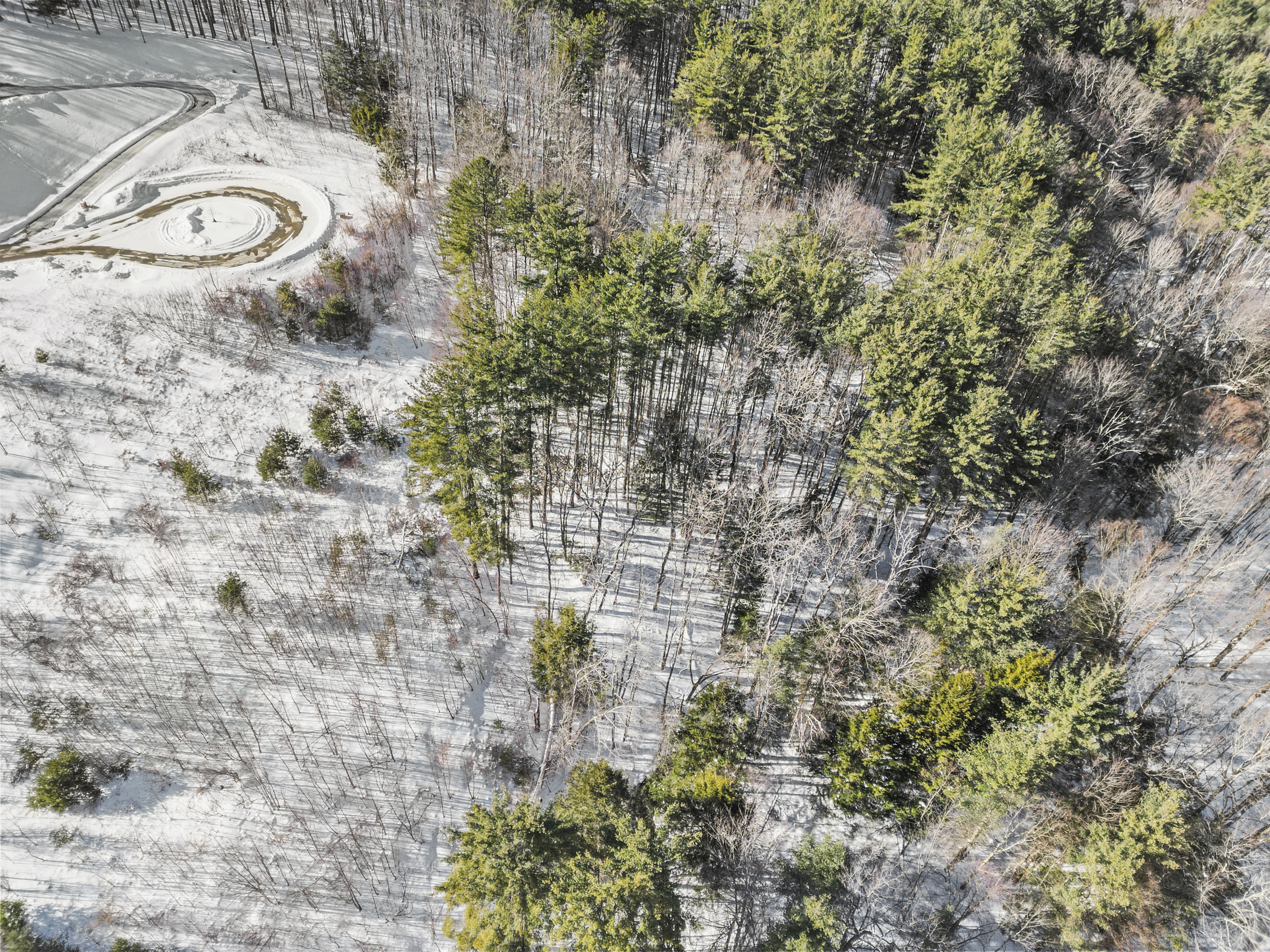  Builder Ready Lots in Premier Development - 物件實景