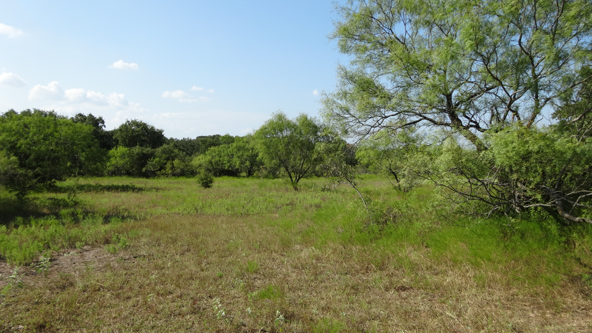 0 Highway 114, Boyd, Texas, 76023, United States, ,Residential,For Sale,0 Highway 114,1008641