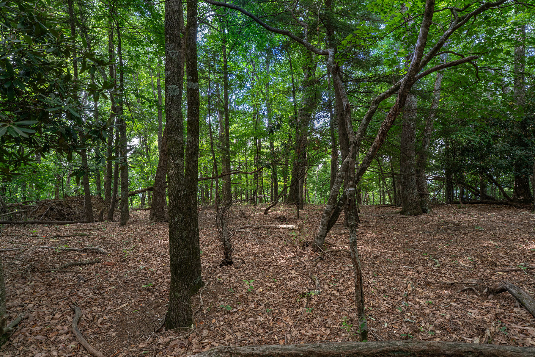  THE ORCHARDS OF MAYVIEW - BLOWING ROCK - 物件實景
