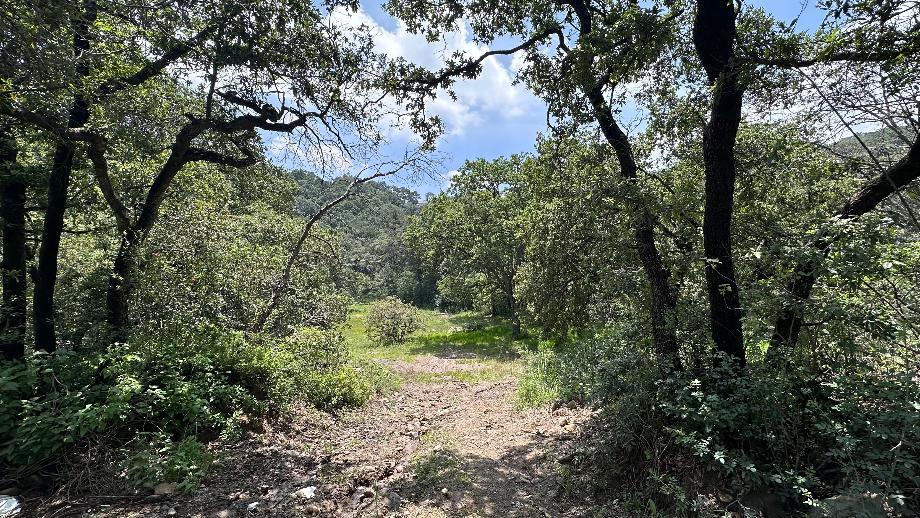 el mirador, Atizapán de Zaragoza, Estado de méxico, 52938, Mexico, 1 Bedroom Bedrooms, ,Residential,For Sale,el mirador,1640551