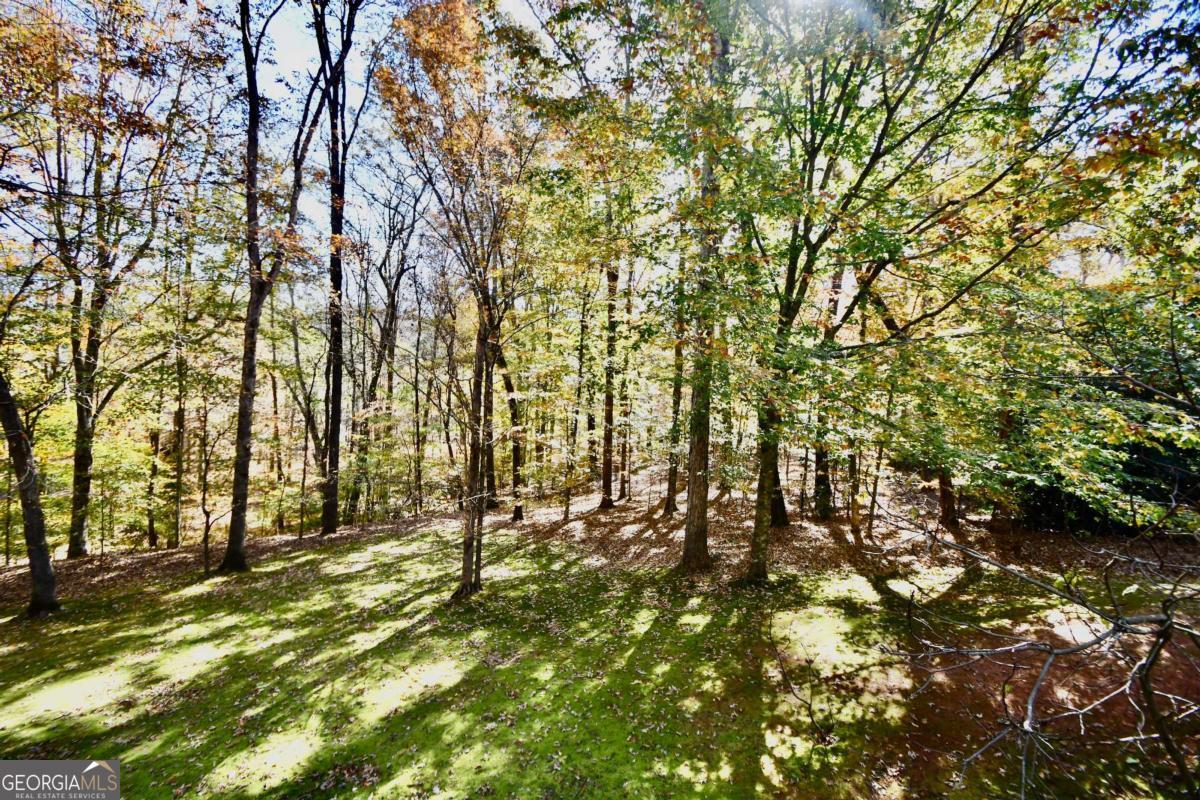 Athens, Georgia, 30607, United States, 5 Bedrooms Bedrooms, ,5 BathroomsBathrooms,Residential,For Sale,1993112