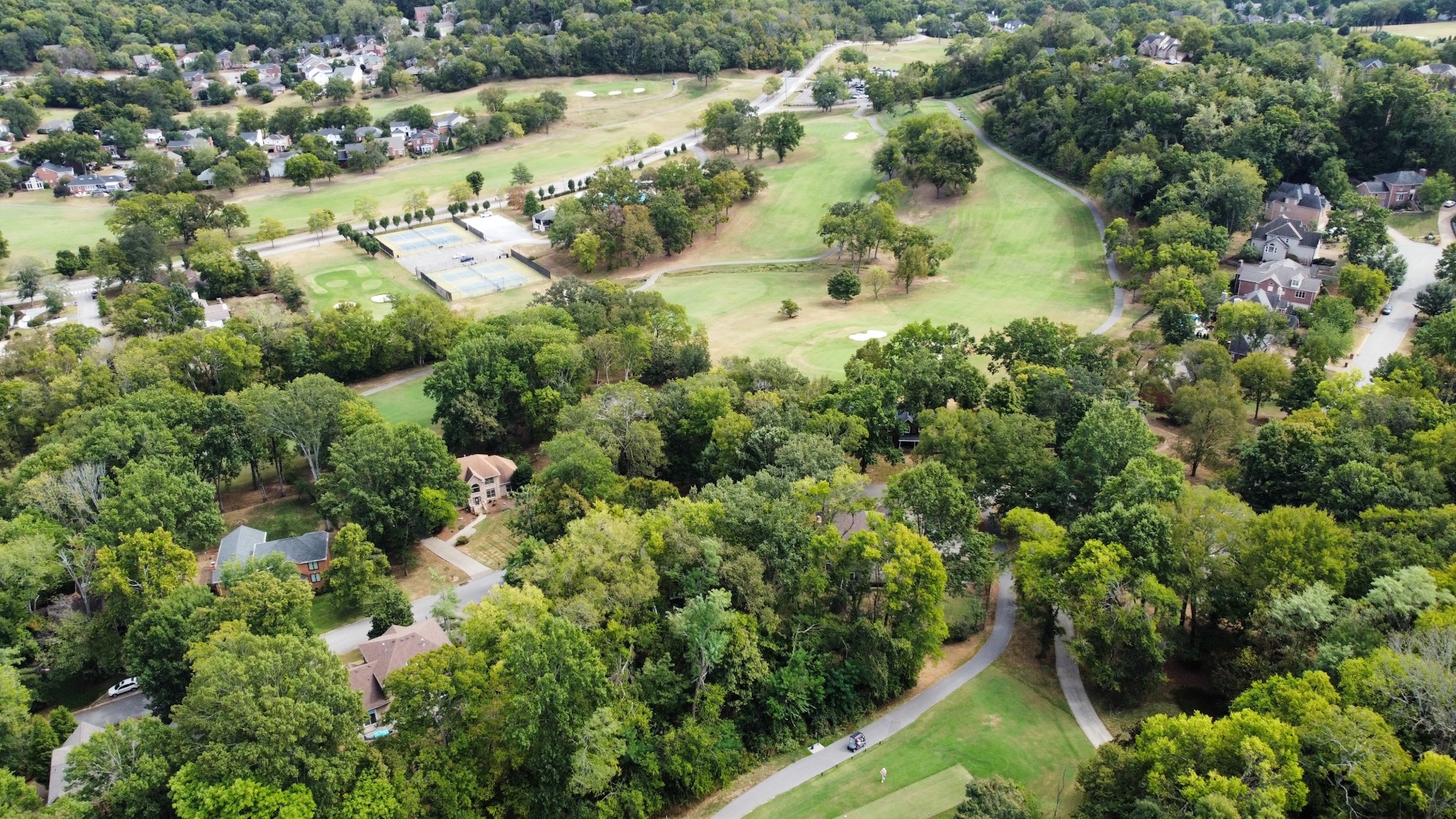  156 North Berwick Lane, Franklin, TN 37069 - 物件實景