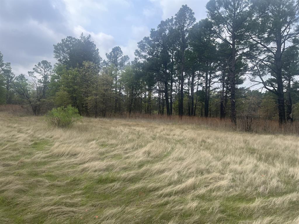 Alvord, Texas, 76225, United States, 2 Bedrooms Bedrooms, ,2 BathroomsBathrooms,Residential,For Sale,2033233