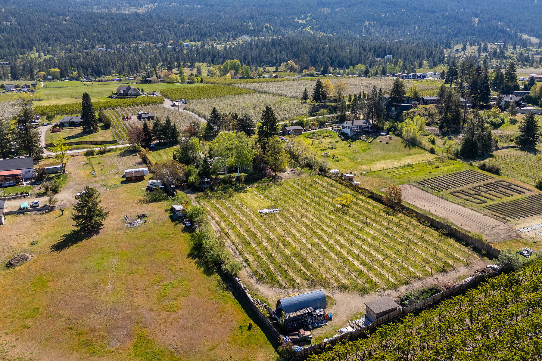  2.63 Acres in Oyama - 物件實景