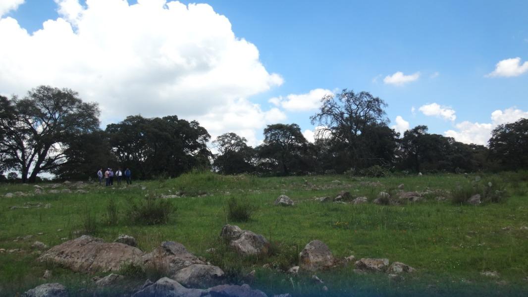 Rancho Tecolapan, Jilotepec, Estado de México, 54270, Mexico, 1 Bedroom Bedrooms, ,Residential,For Sale,Rancho Tecolapan,1443404