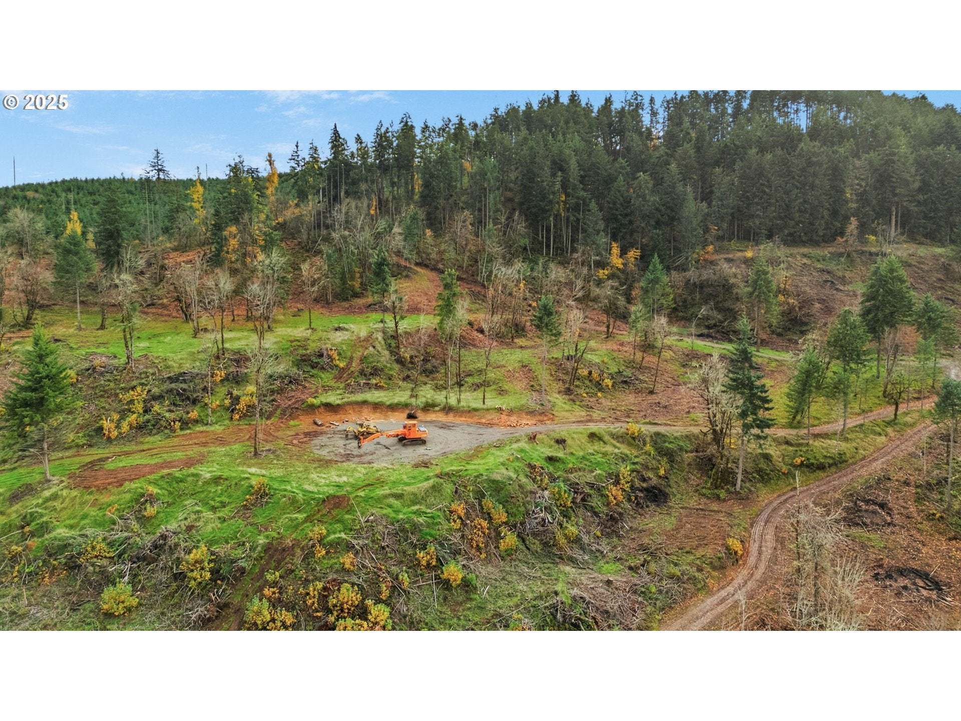 PleasantHill, Oregon, 97455, United States, ,Land,For Sale,1994840