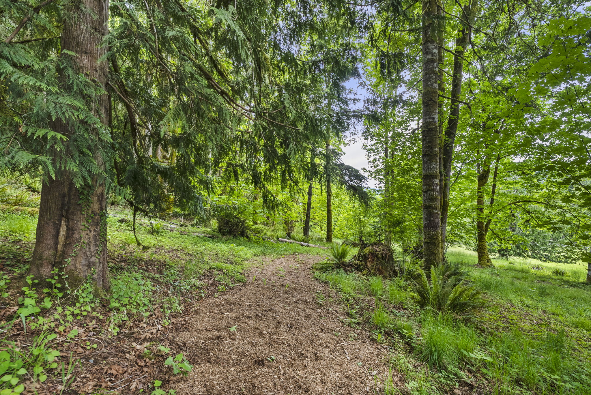  1410 Summit Lake Shore RD NW Olympia, WA 98502 - 物件實景
