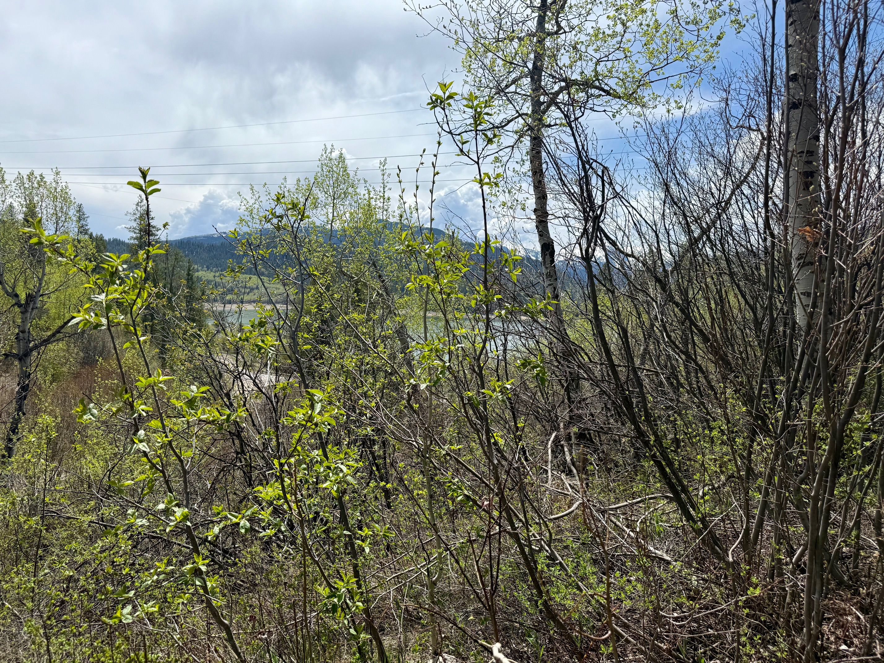  Property Overlooking the Palisades Reservoir - 物件實景