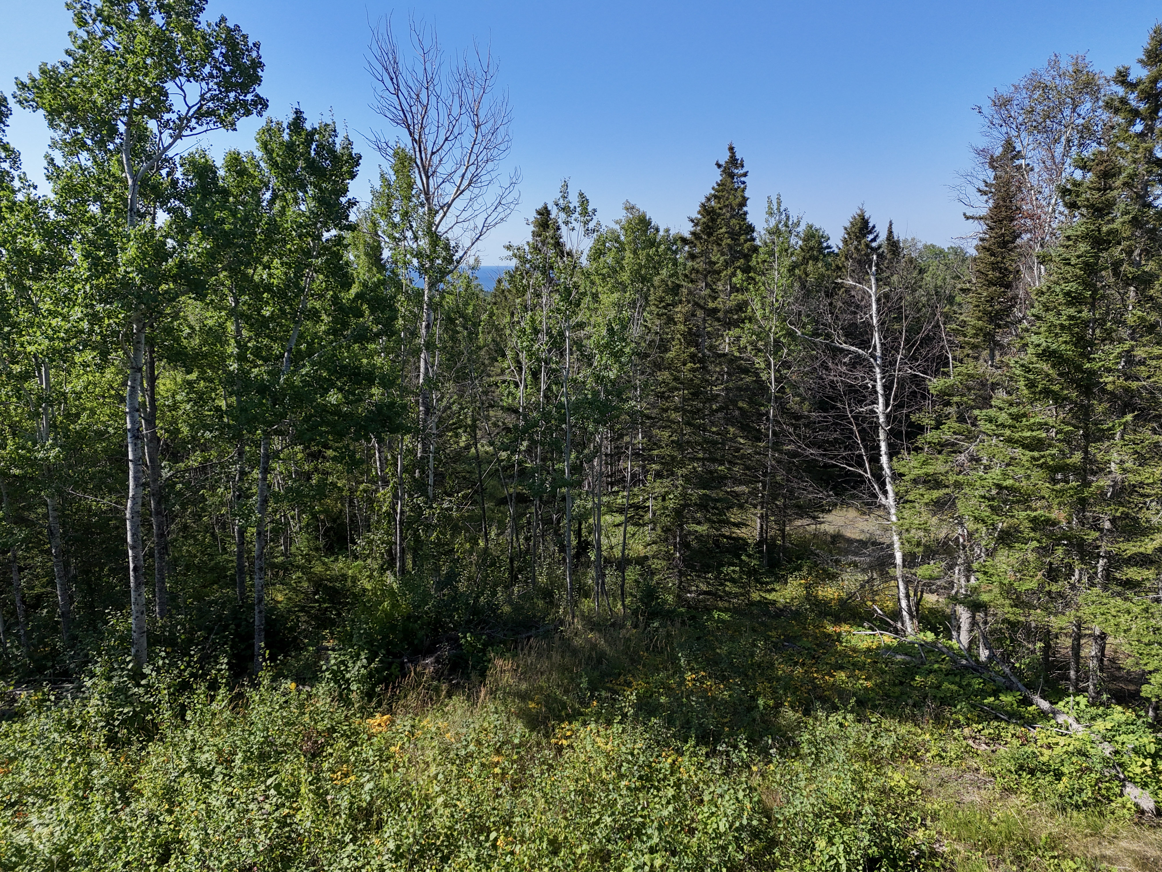  A Rare North Shore Homesite Near Grand Marais - 物件實景