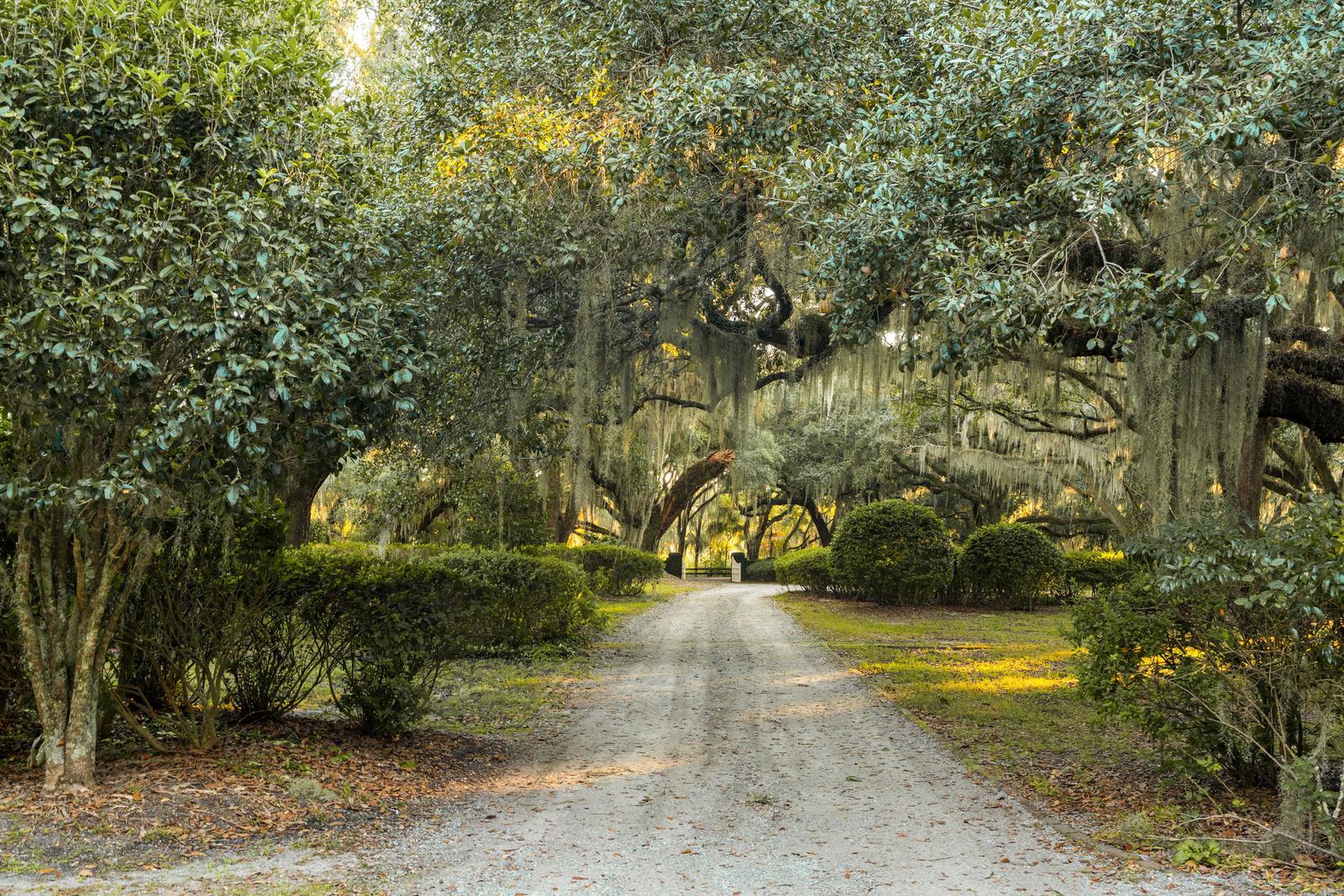 Yemassee, South Carolina, 29945, United States, 6 Bedrooms Bedrooms, ,7 BathroomsBathrooms,Residential,For Sale,1989284