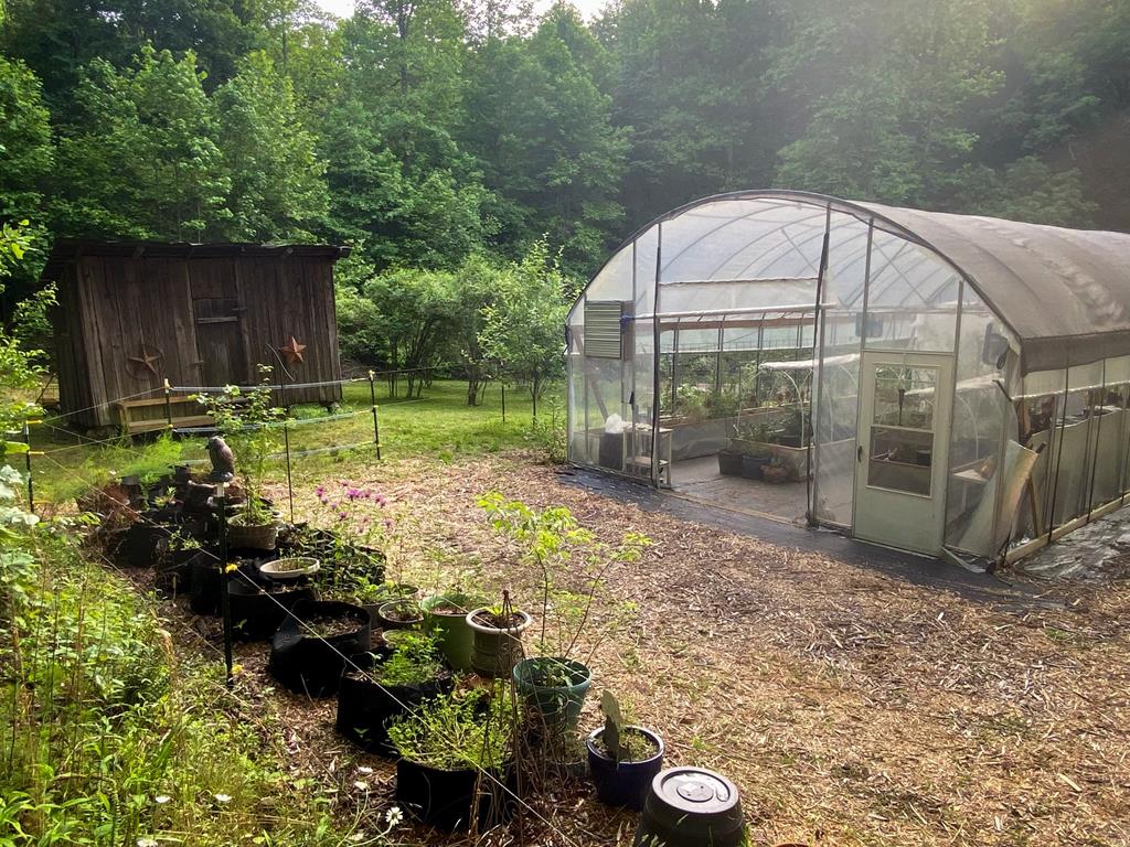 2151 Old Northcutt Road, Ellijay, Georgia, 30536, United States, 4 Bedrooms Bedrooms, ,2 BathroomsBathrooms,Residential,For Sale,2151 Old Northcutt Road,1538841