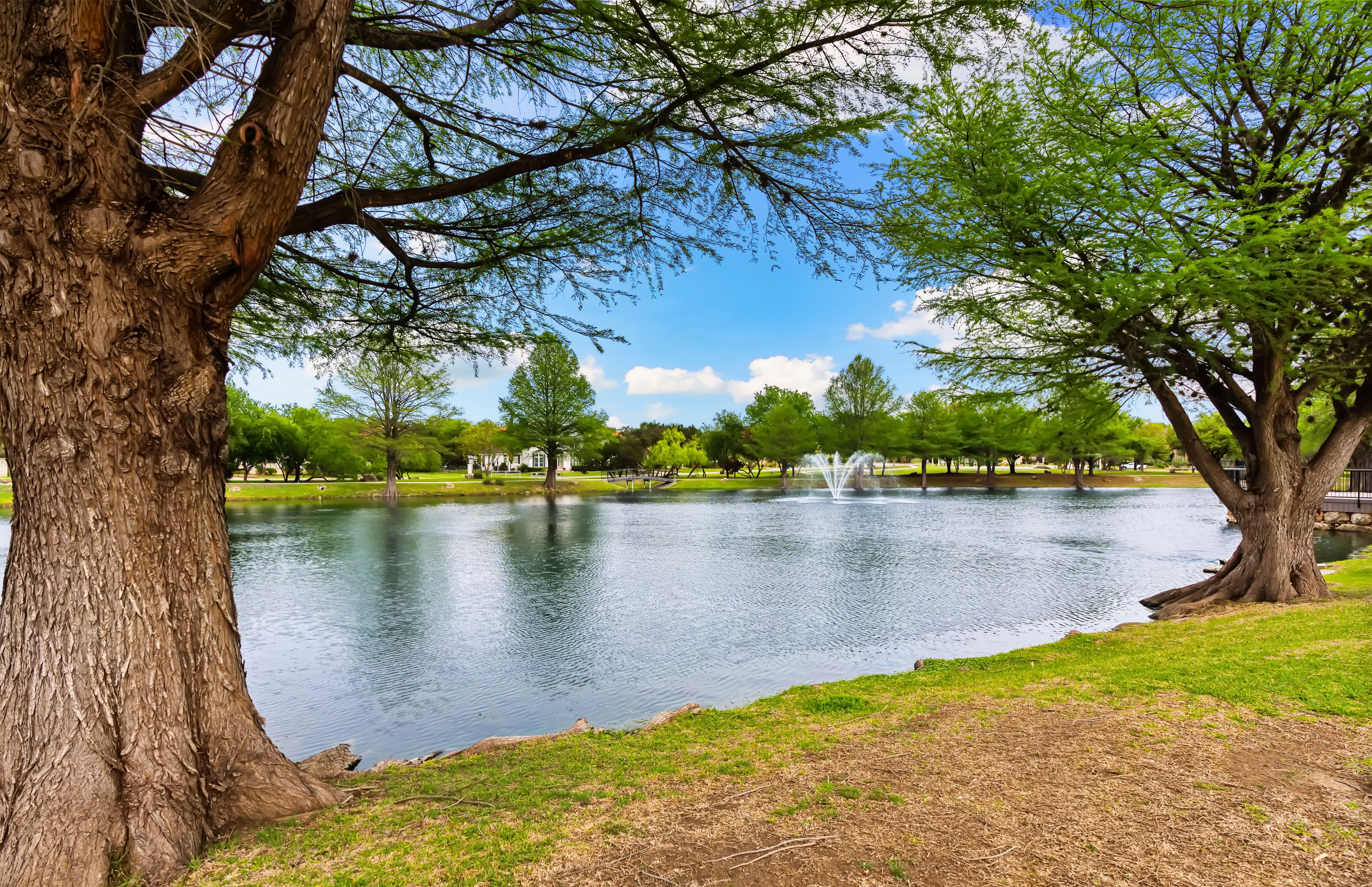  Stunning Remodel Near Private Lake & Trails - 物件實景