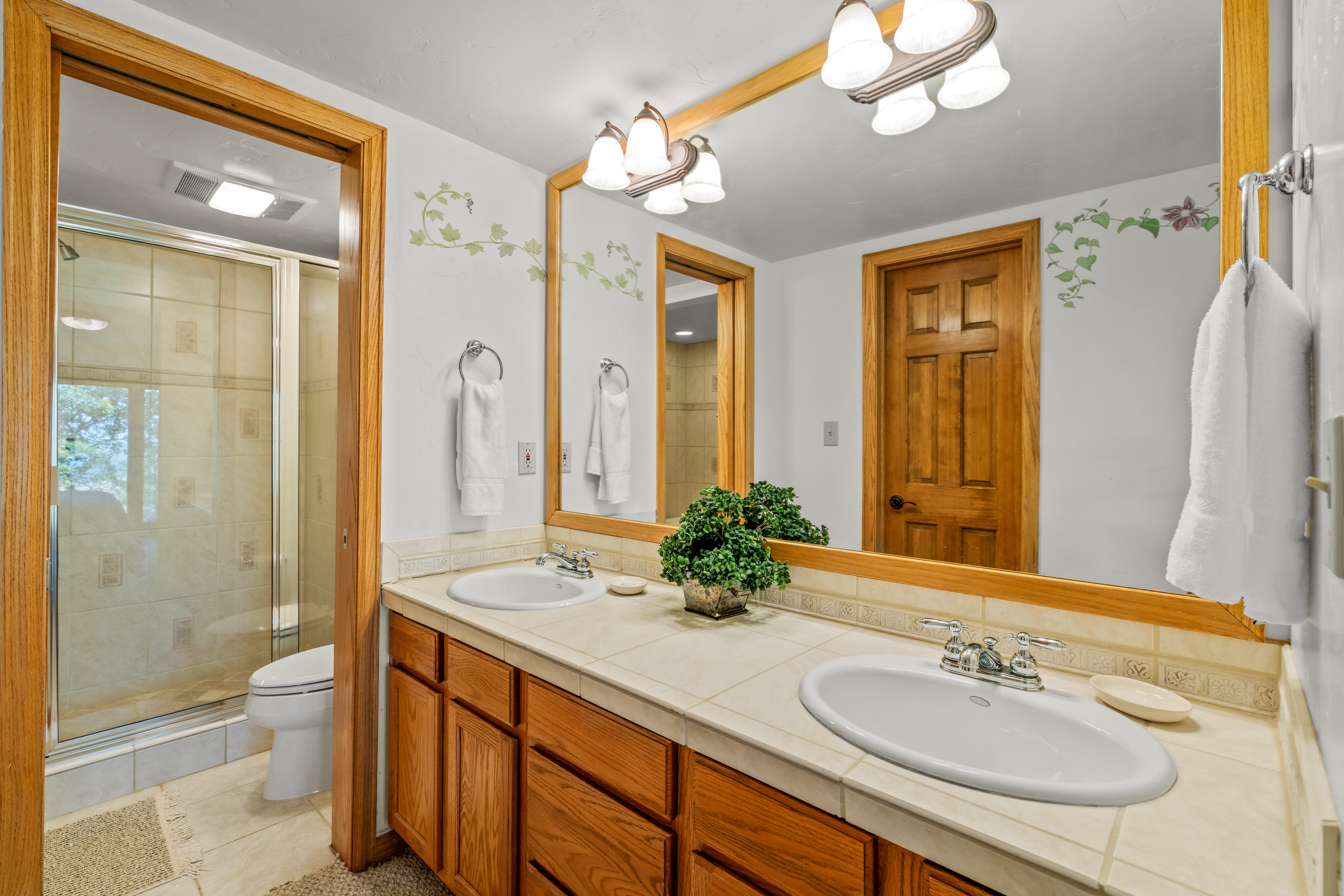  2290 Storm Meadows Drive, Steamboat Springs, CO, 80487 - 物件實景