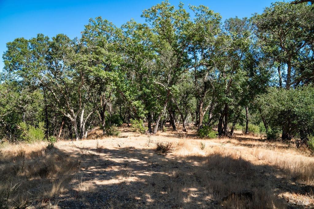 St. Helena, California, 94574, United States, ,Residential,For Sale,1846631