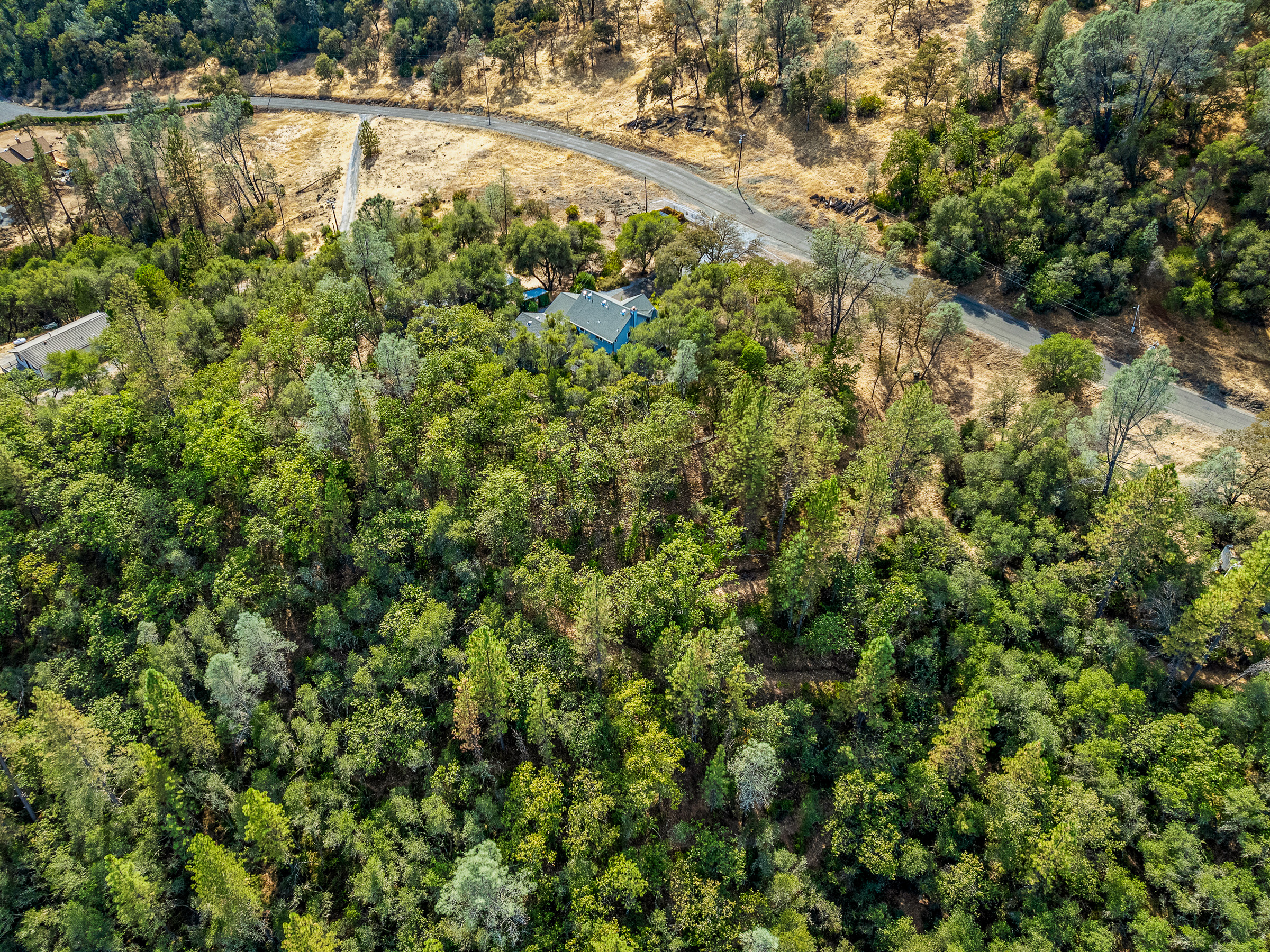  4711 Meadowview Acres Road, Cool, CA 95614 - 物件實景