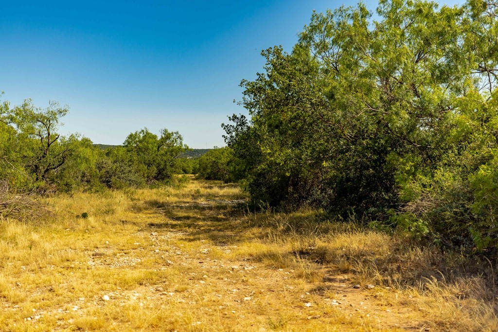 Doss, Texas, 78618, United States, ,Residential,For Sale,1830558