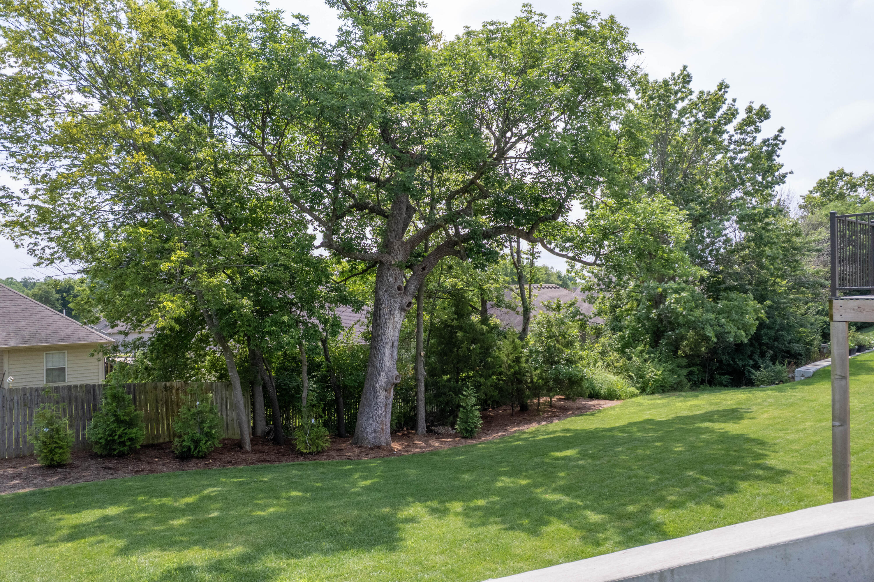 COLUMBIA, Missouri, 65203, United States, 5 Bedrooms Bedrooms, ,3 BathroomsBathrooms,Residential,For Sale,1976271