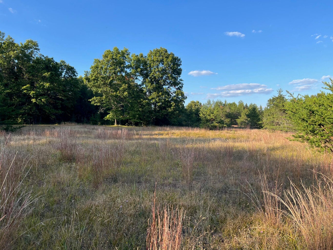 Baldwin, Michigan, 49304, United States, 3 Bedrooms Bedrooms, ,2 BathroomsBathrooms,Residential,For Sale,1990507