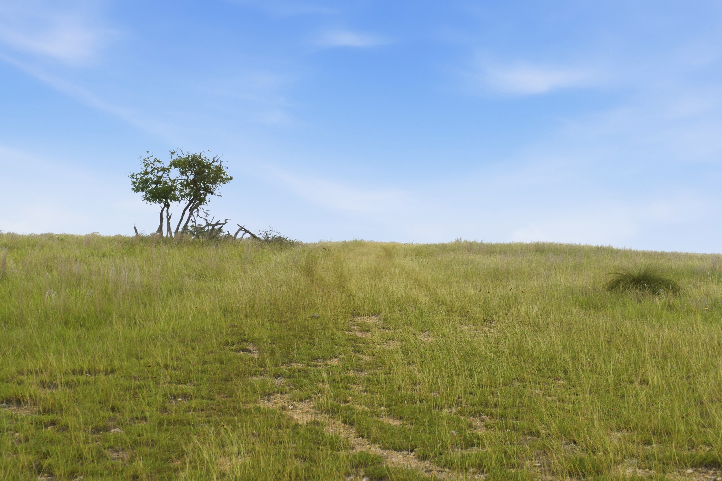  CavaLoma Ranch in Kerr COunty - 物件實景