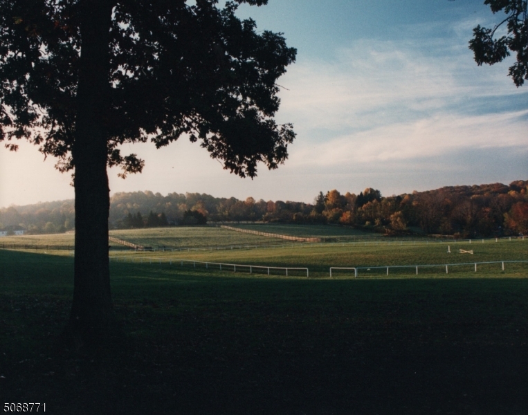 Mendham Twp., New Jersey, 07945, United States, ,Land,For Sale,1877223