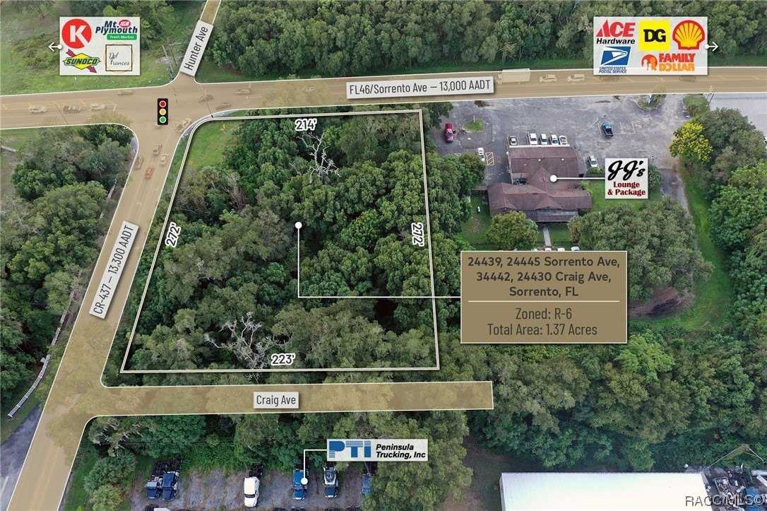 24439 Sorrento Avenue, Mount Dora, Florida, 32776, United States, ,Residential,For Sale,24439 Sorrento Avenue,1348352