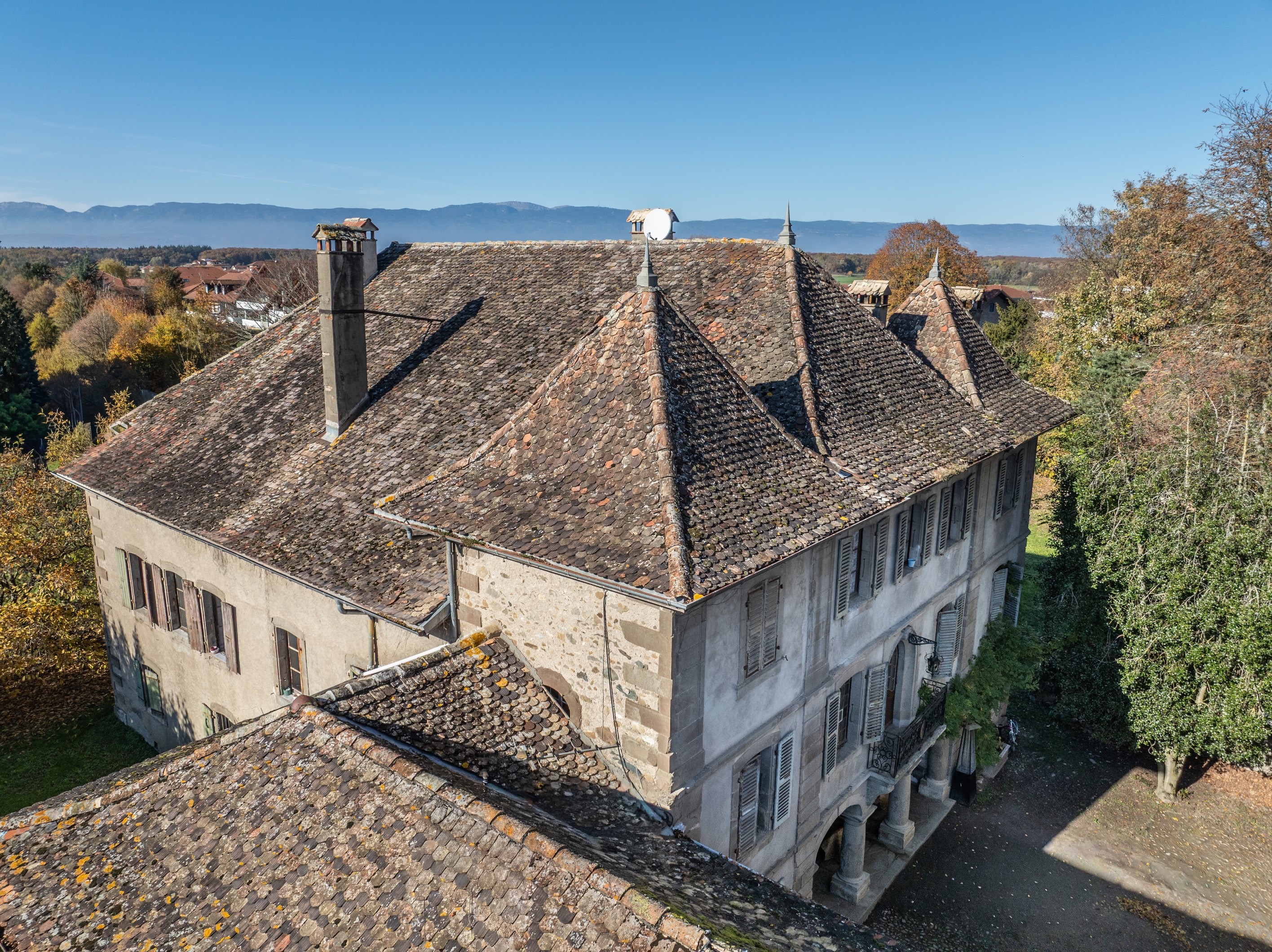  Exceptional manor at the gates of Geneva - 物件實景