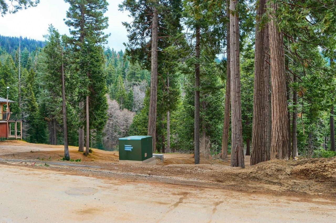 Yosemite, California, 95389, United States, ,Residential,For Sale,1791701