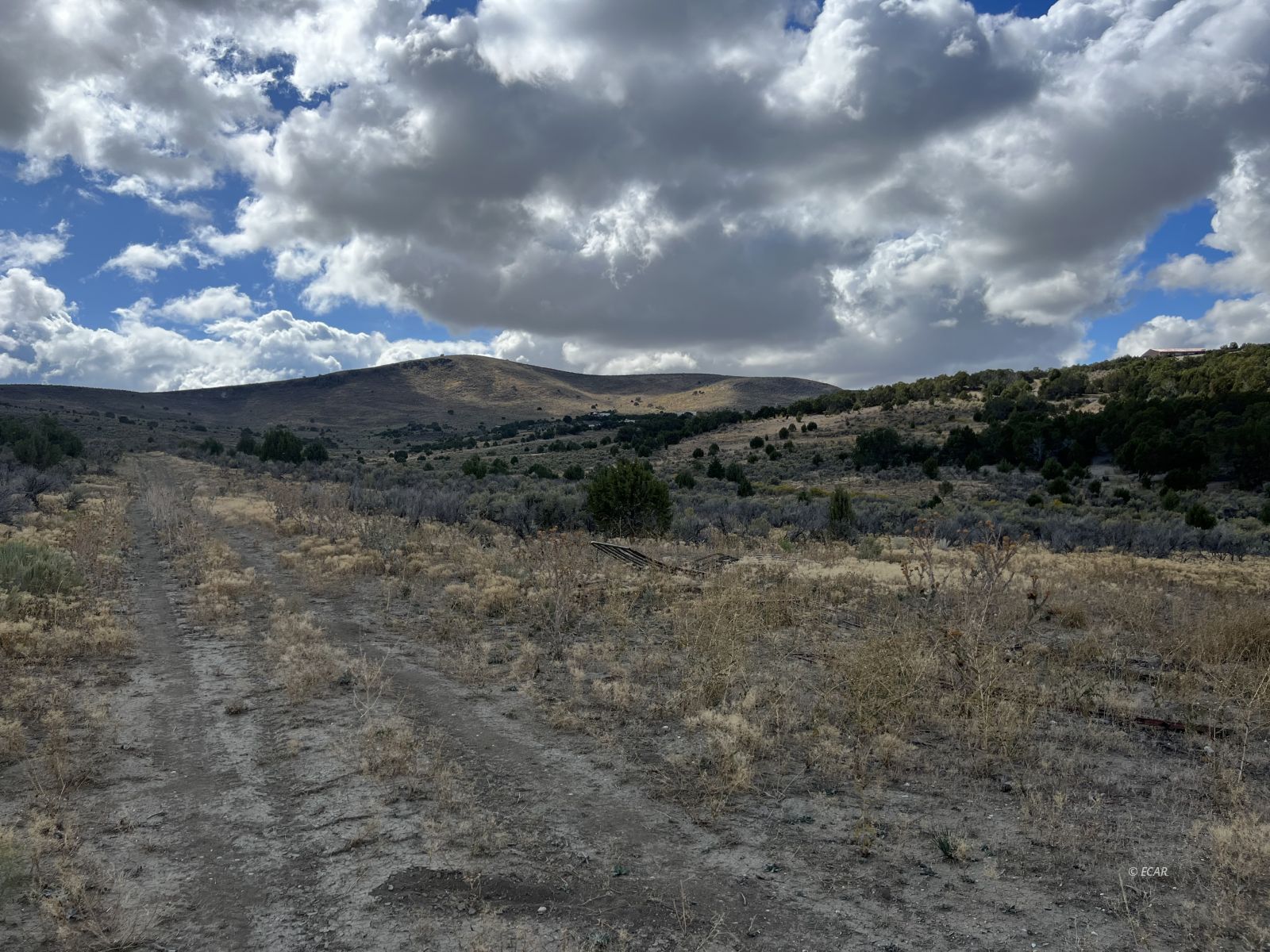 Elko, Nevada, 89801, United States, ,Land,For Sale,1925378