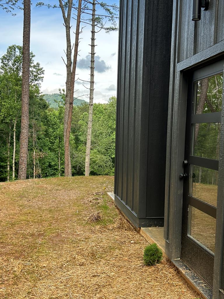 Mineral Bluff, Georgia, 30559, United States, 3 Bedrooms Bedrooms, ,3 BathroomsBathrooms,Residential,For Sale,2007594