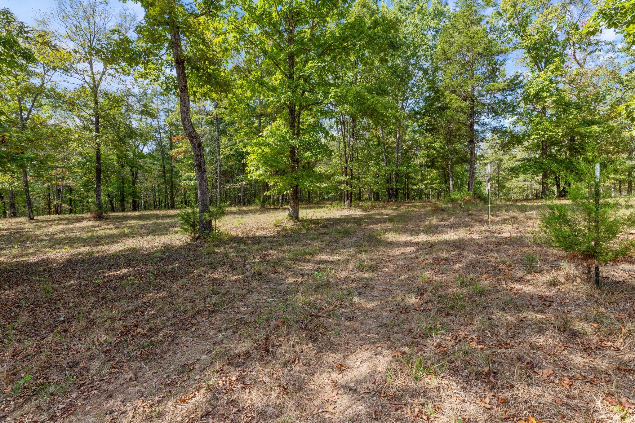 Mc Ewen, Tennessee, 37101, United States, ,Residential,For Sale,1923664