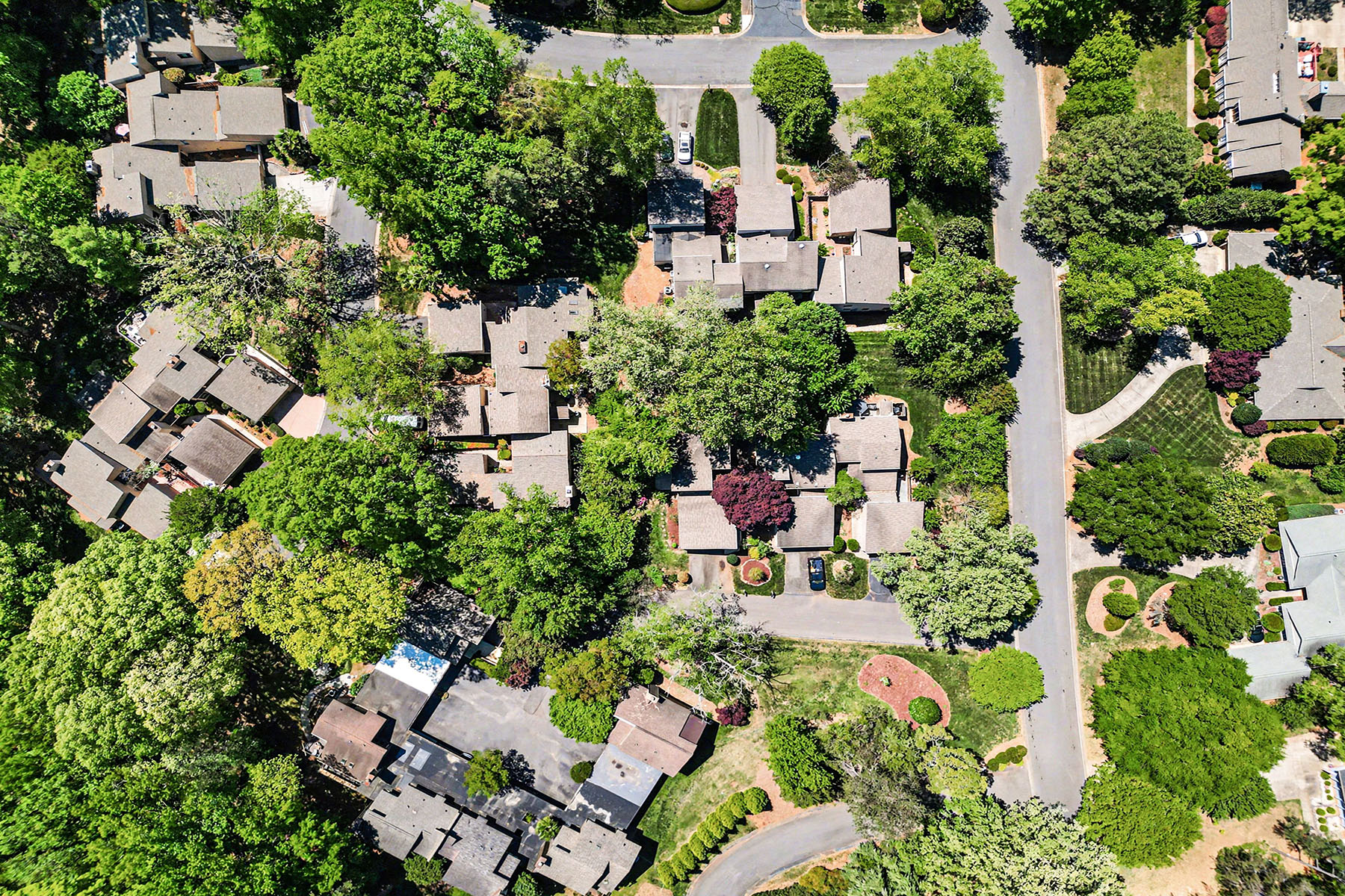  RAINTREE - 物件實景