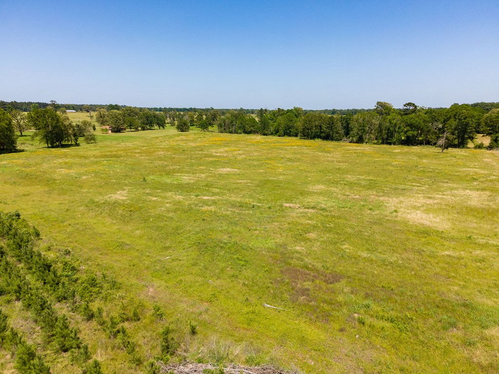 Pollok, Texas, 75969, United States, ,Residential,For Sale,1928088