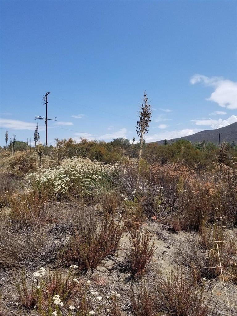 4 POLK Road PARCELS, Alpine, California, 91901, United States, ,Land,For Sale,4 POLK Road PARCELS,1646667