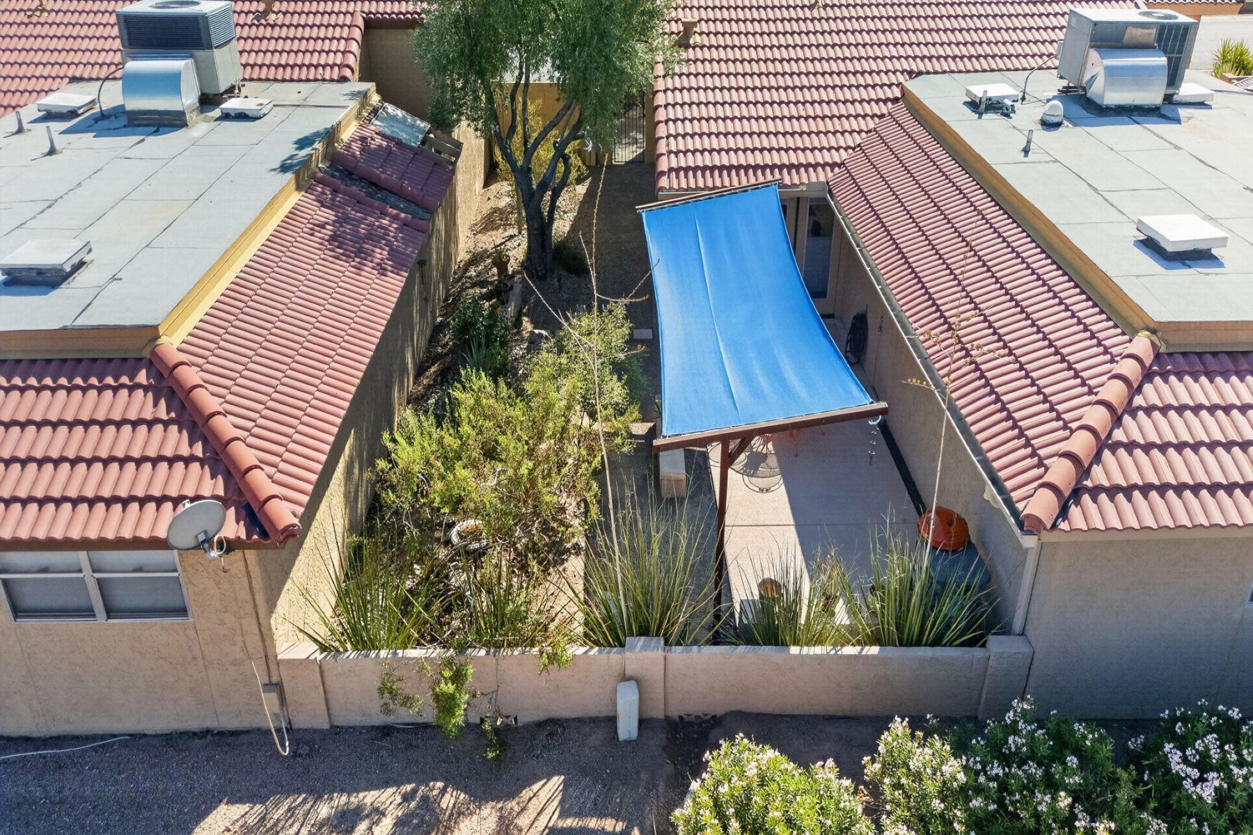  12037 S Half Moon Drive  Phoenix, AZ - 物件實景