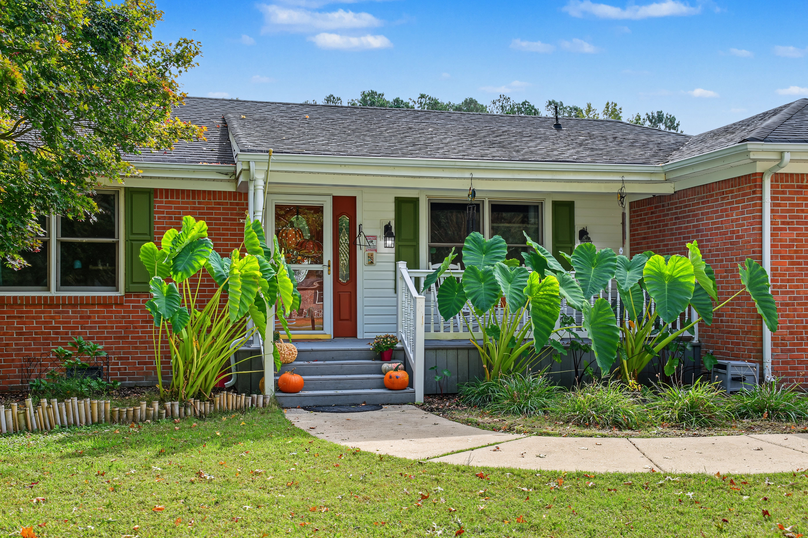  605 Saddlehorn Drive, Chesapeake, VA 23322 - 物件實景