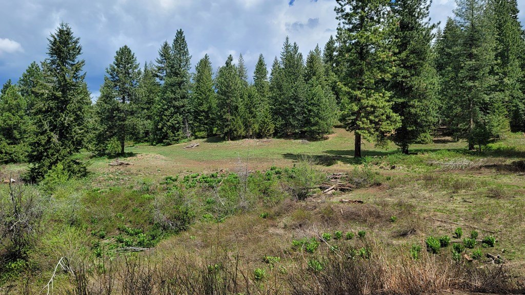 Council, Idaho, 83612, United States, 3 Bedrooms Bedrooms, ,2 BathroomsBathrooms,Residential,For Sale,1980798