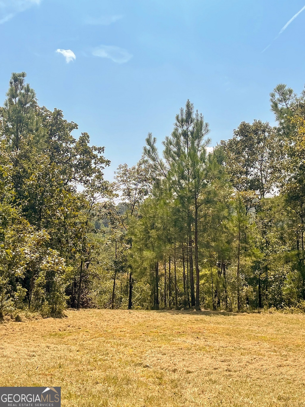 Bowman, Georgia, 30624, United States, ,Land,For Sale,1988197