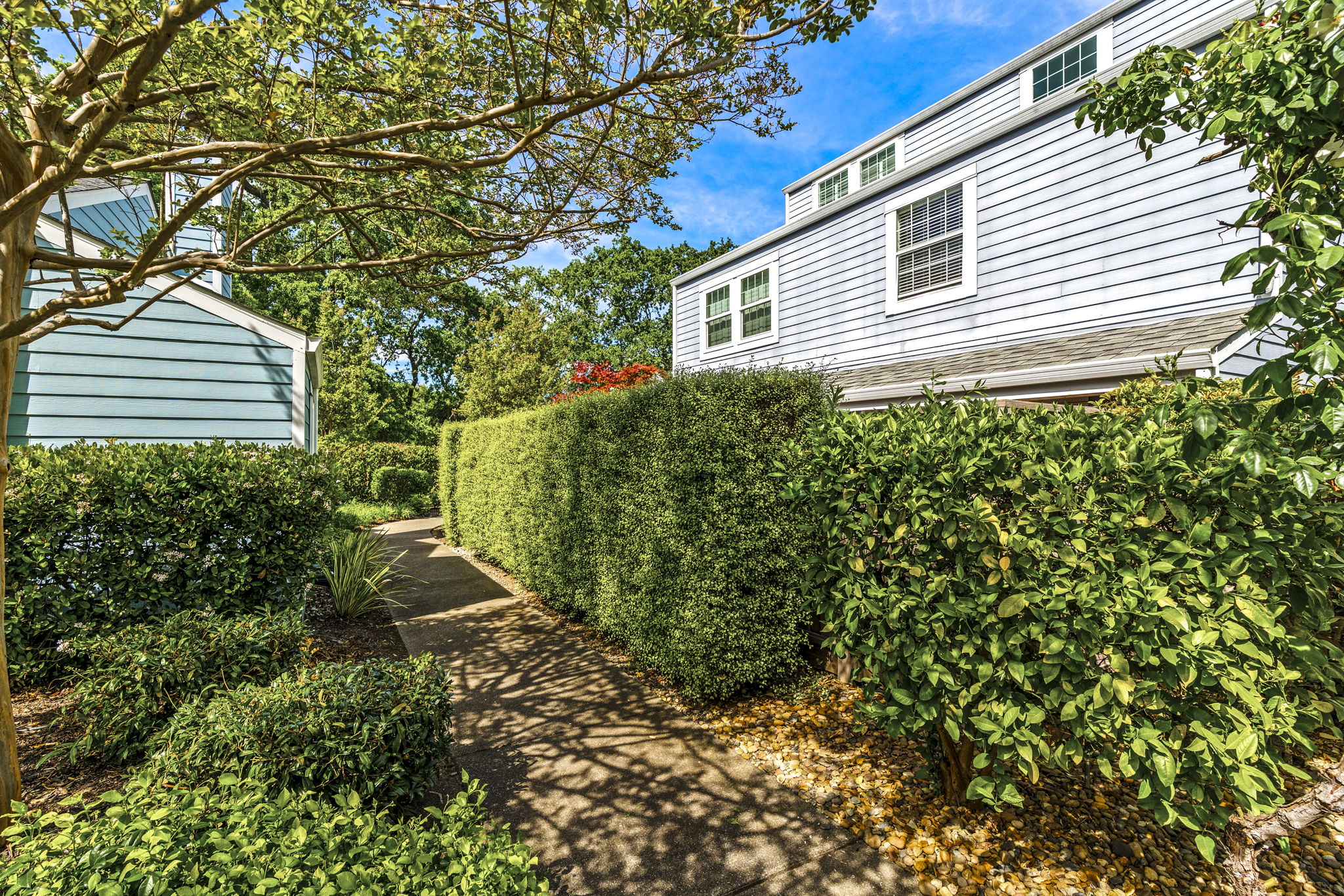  6600 Yount St. #21 Yountville - 物件實景