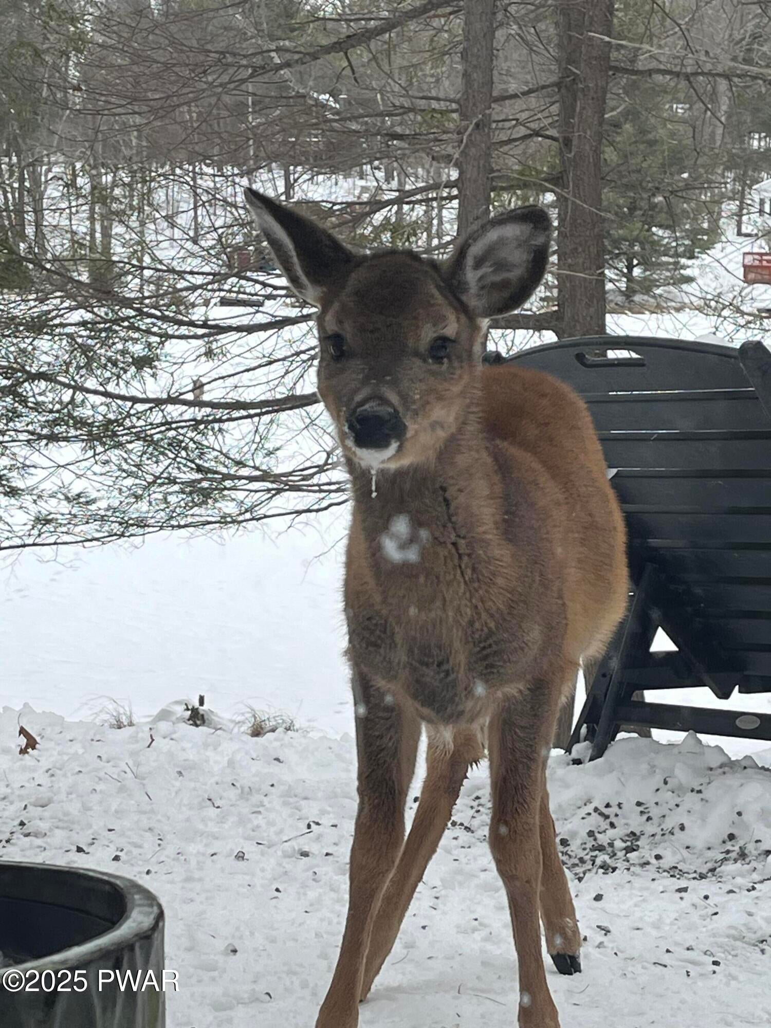 Dingmans Ferry, Pennsylvania, 18328, United States, 2 Bedrooms Bedrooms, ,1 BathroomBathrooms,Residential,For Sale,2006132