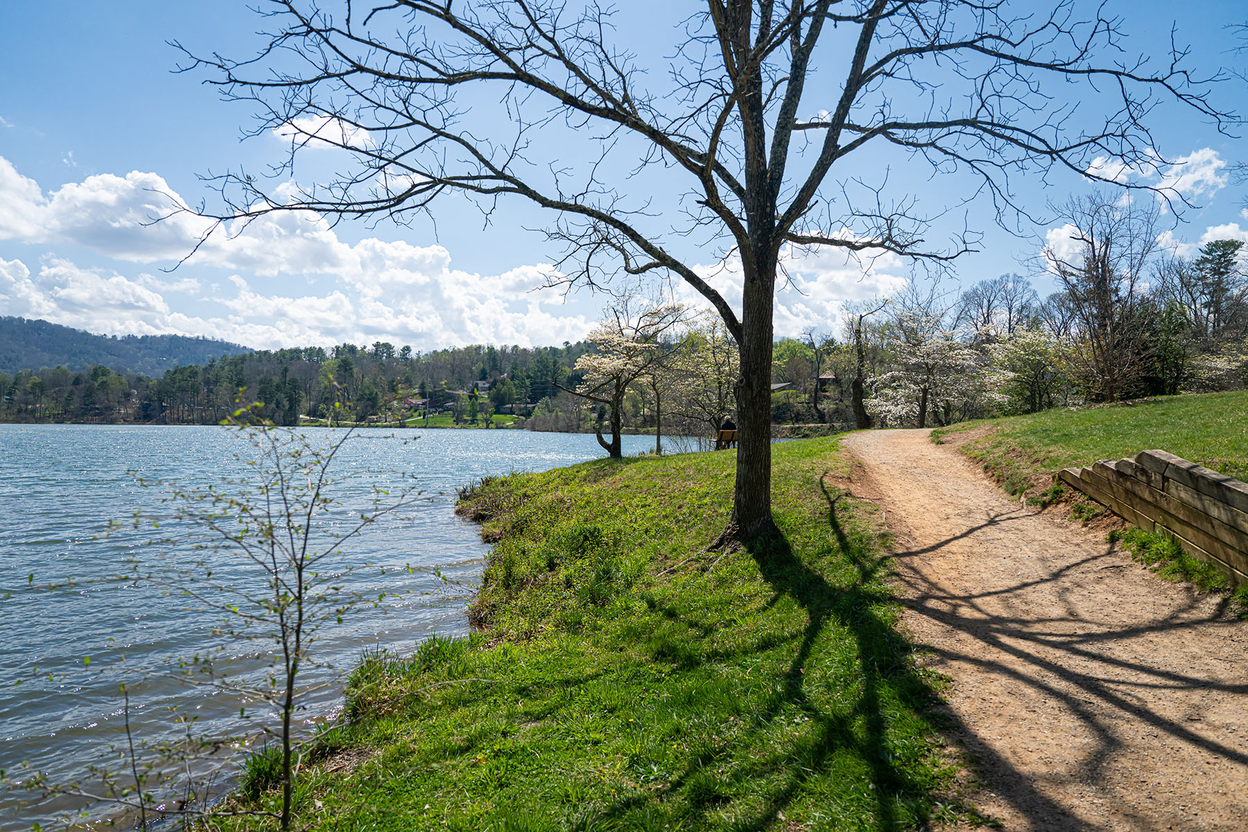  ASHEVILLE - 物件實景