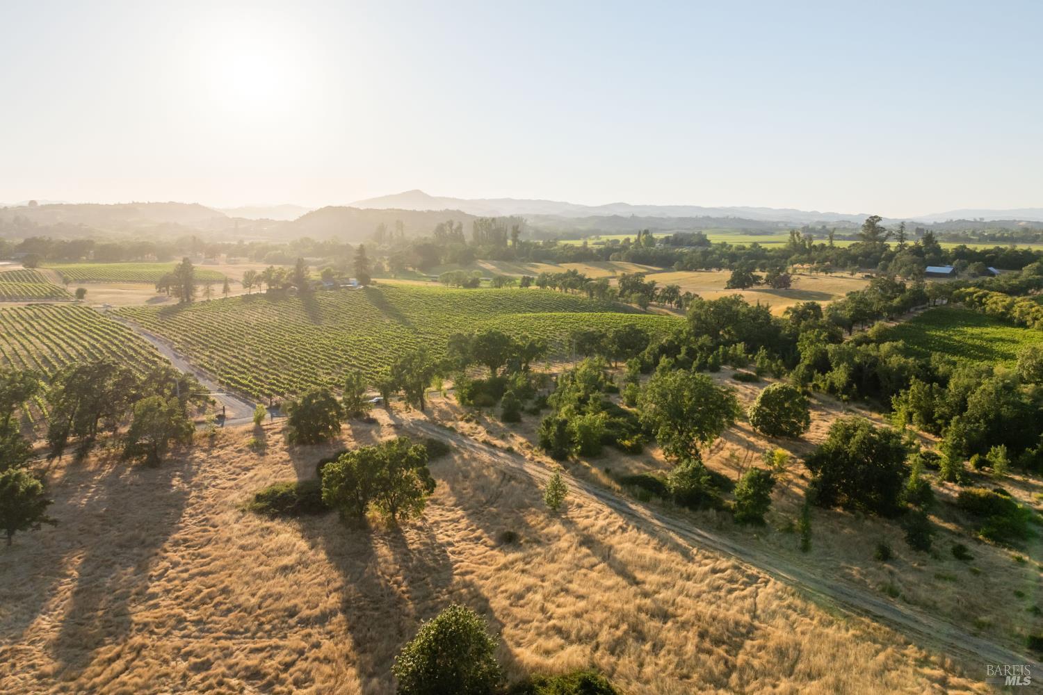 Santa Rosa, California, 95401, United States, ,Land,For Sale,1975018