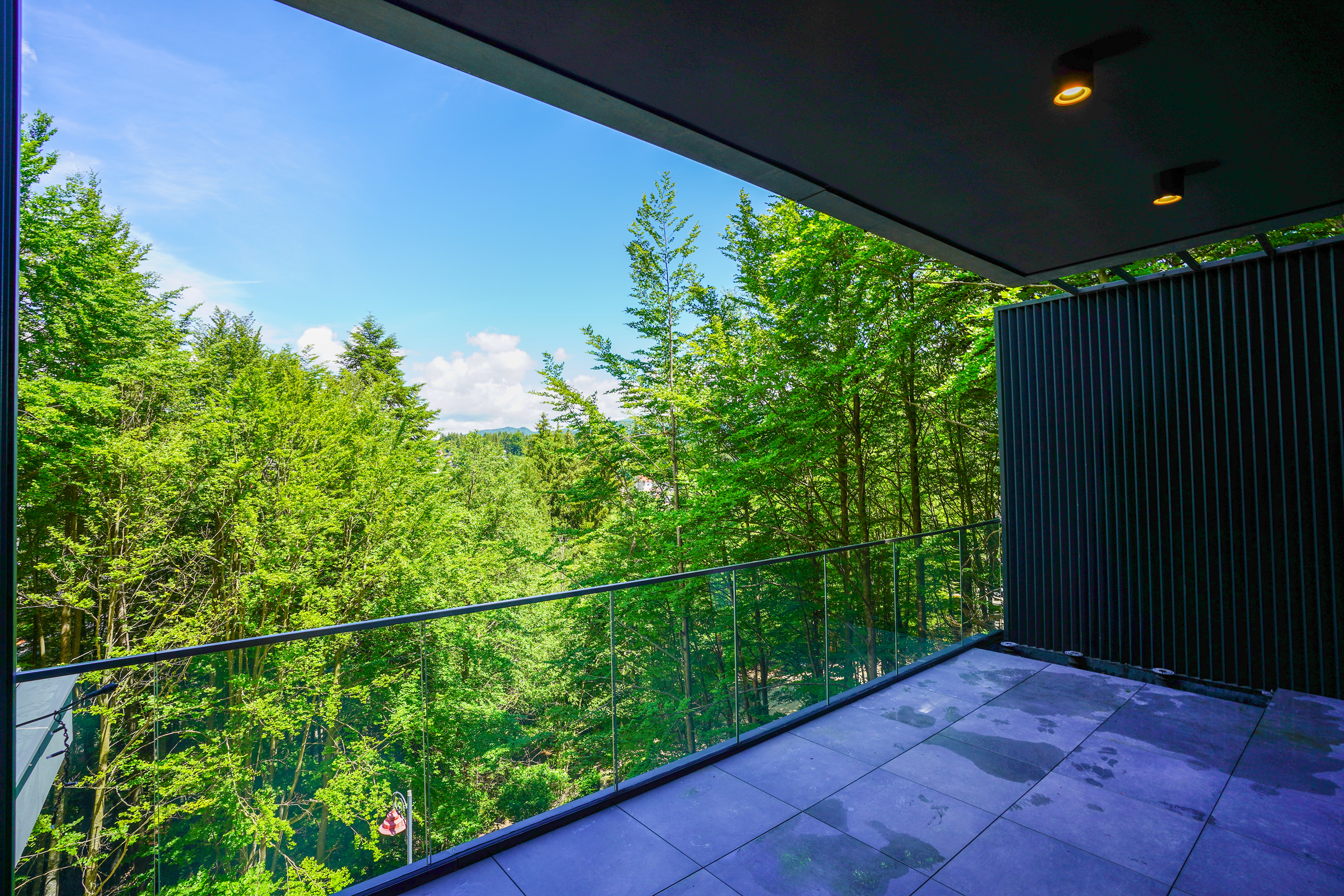 Penthouse Bordering the Forest, Sinaia - 物件實景